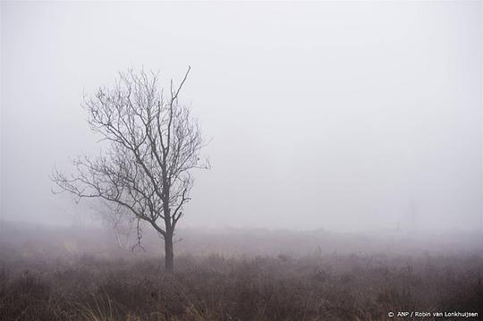 Waarschuwing automobilisten voor dichte mist in zuiden en zuidwesten