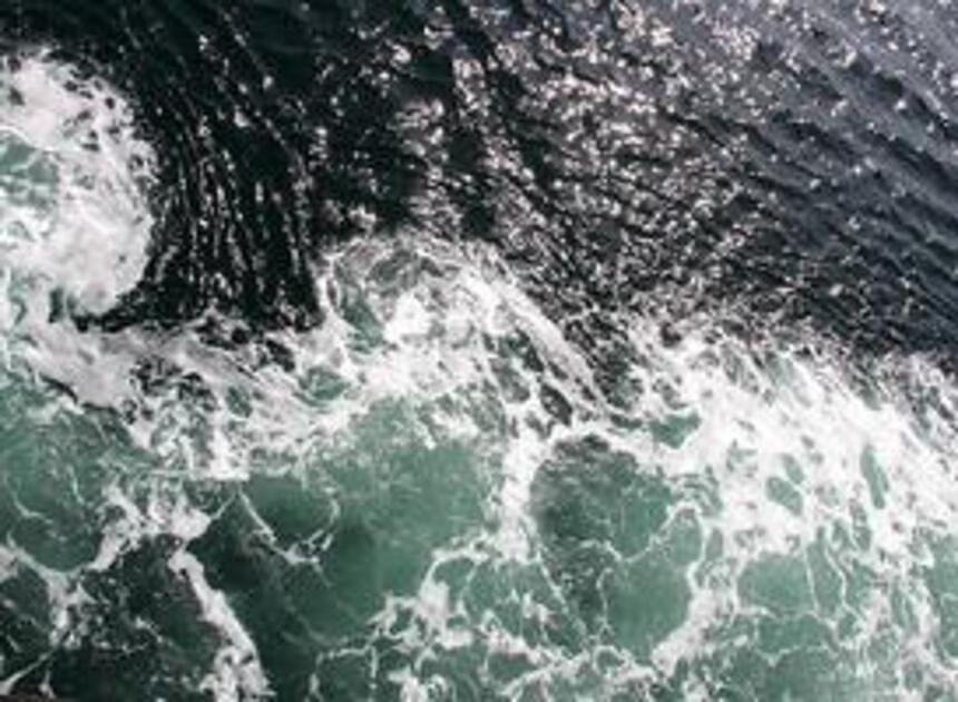 Ruim 10% loonsverhoging voor kadewerknemers en beveiligers P&O Ferries