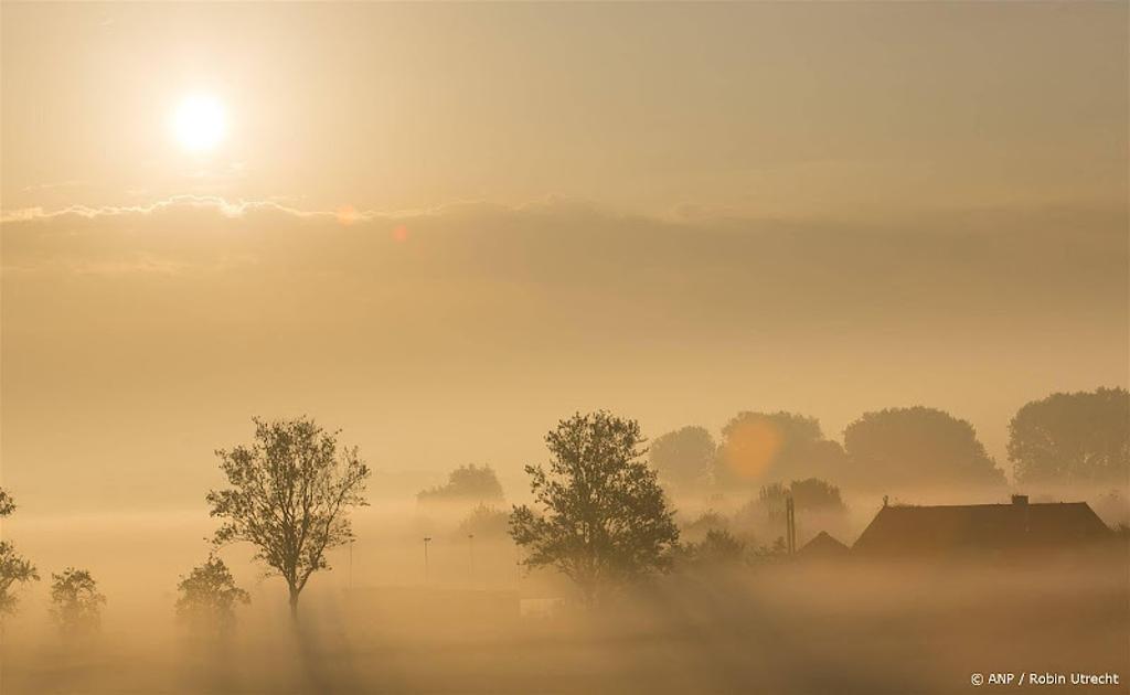 Dichte mist in noorden en oosten van het land