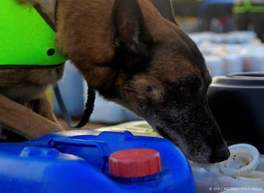 Ruim 100 kilo coke onderschept in haven Rotterdam