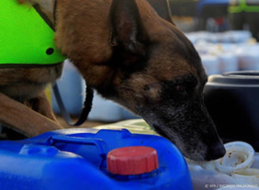 Ruim 100 kilo coke onderschept in haven Rotterdam