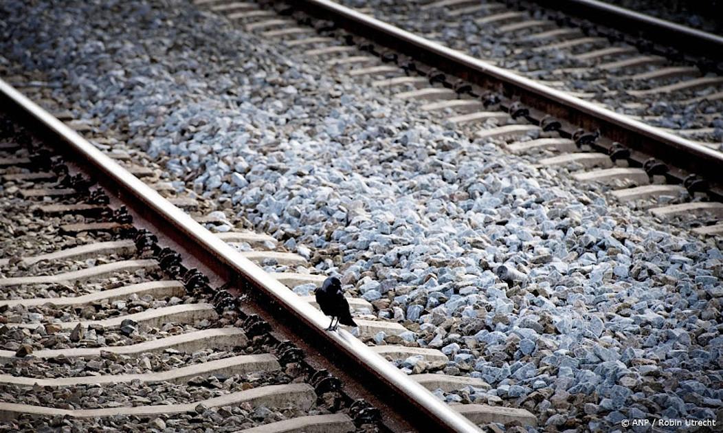 Activisten blokkeren voor tweede dag goederenspoor Rotterdam