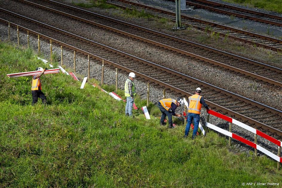 ProRail ziet honderden dassensporen rond treinspoor