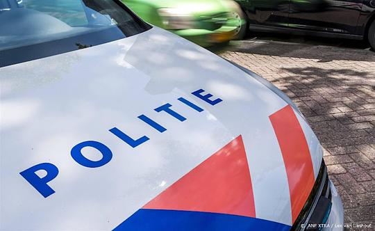 Vrouw en hond overleden na aanrijding, drie personen aangehouden