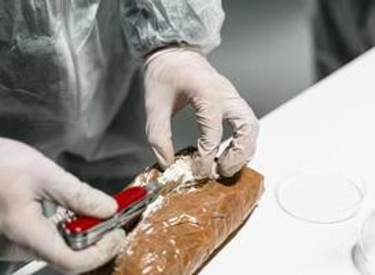 Douane ziet drugsvangsten op Schiphol dit jaar toenemen