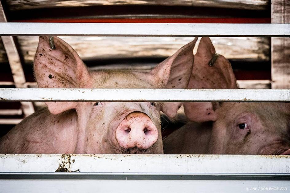 Jaarlijks circa driehonderd NVWA-boetes vanwege illegaal dierentransport