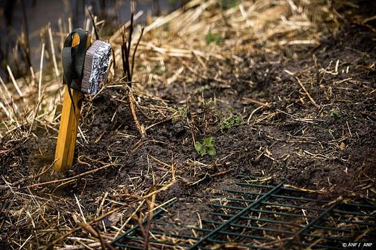 Dassenburcht Boxtel: vrijdag minder treinen