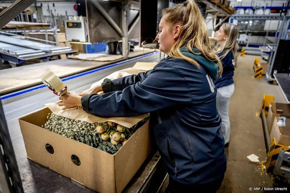 Nederlandse export van goederen stijgt in april