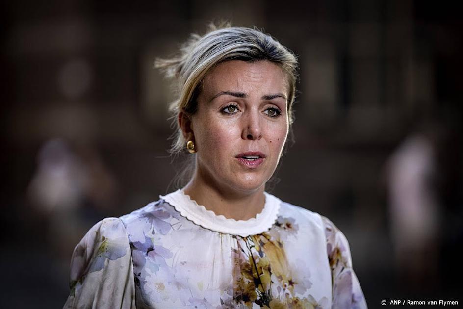 Dit jaar nog geen drielandentrein in grensregio