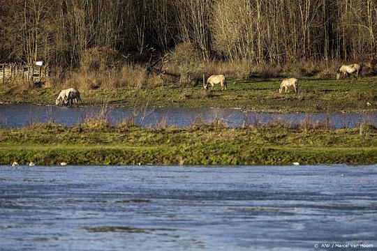 Maas bereikt dinsdag hoogste punt, Rijn volgt donderdag
