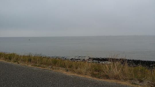 Herstelwerkzaamheden Hoeckelingsdam volgens natuurlijke principes 